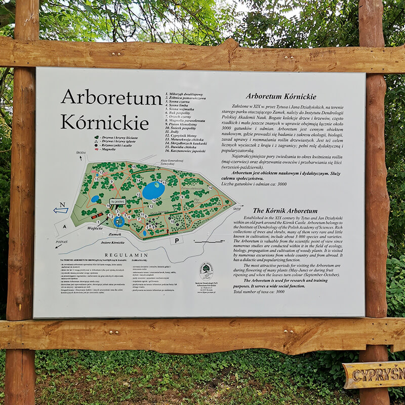 Zamek w Kórniku i przyzamkowe Arboretum. Perełka Wielkopolski!